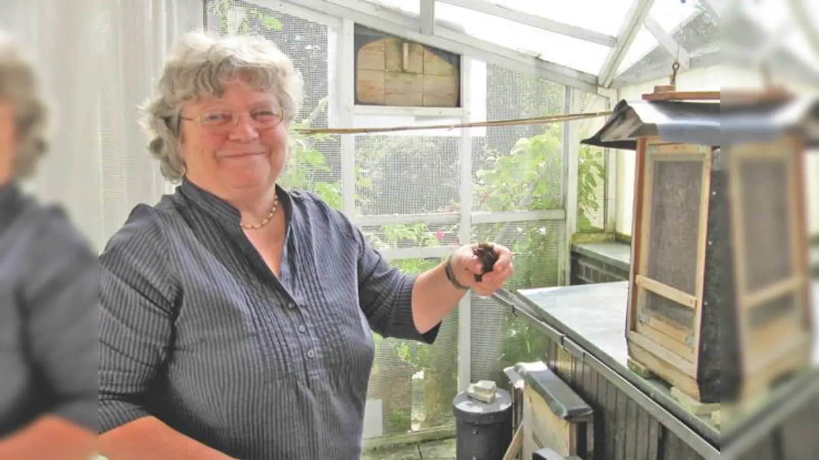 In speziellen Nistkästen werden die kranken Fledermäuse von Margarete Kistler versorgt, bis sie wieder gesund sind. 	 (Foto: Woschée)