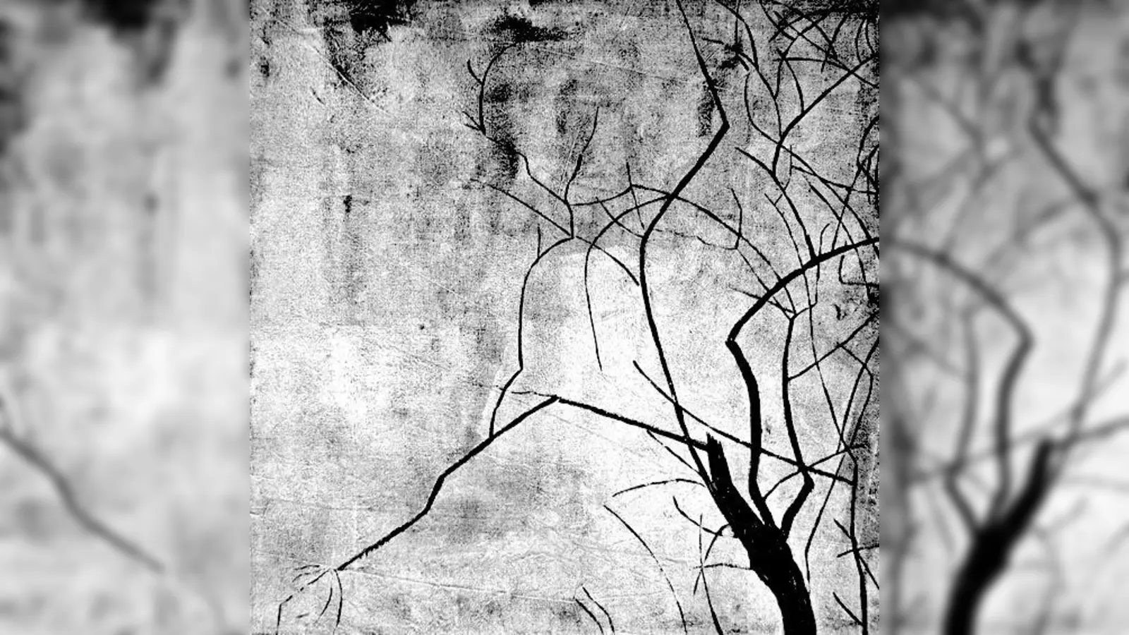 Ein Werk von Eva Schwanitz, Schülerin von Joseph Beuys.	 (Foto: VA)