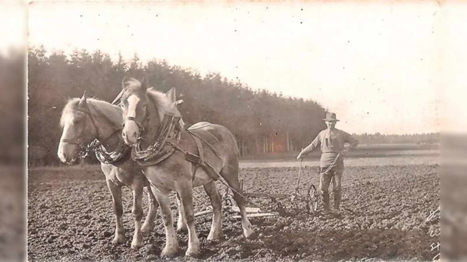 Landwirtschaft wie sie früher war: Josef Wolpertinger mit seinem Kultivator auf dem Feld.	 (Foto: Heimatkundekreis)