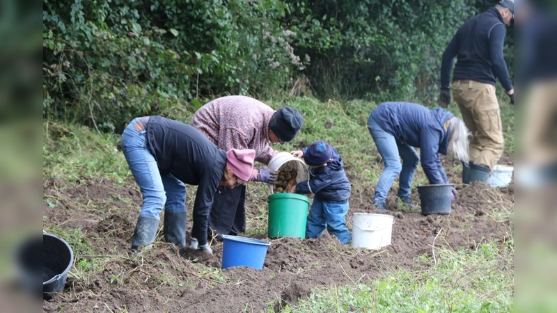 Interessanter Ansatz: Die Mitglieder einer "SoLaWi" kaufen keine Lebensmittel, sondern finanzieren gemeinsam einen landwirtschaftlichen Betrieb. (Foto: VA)