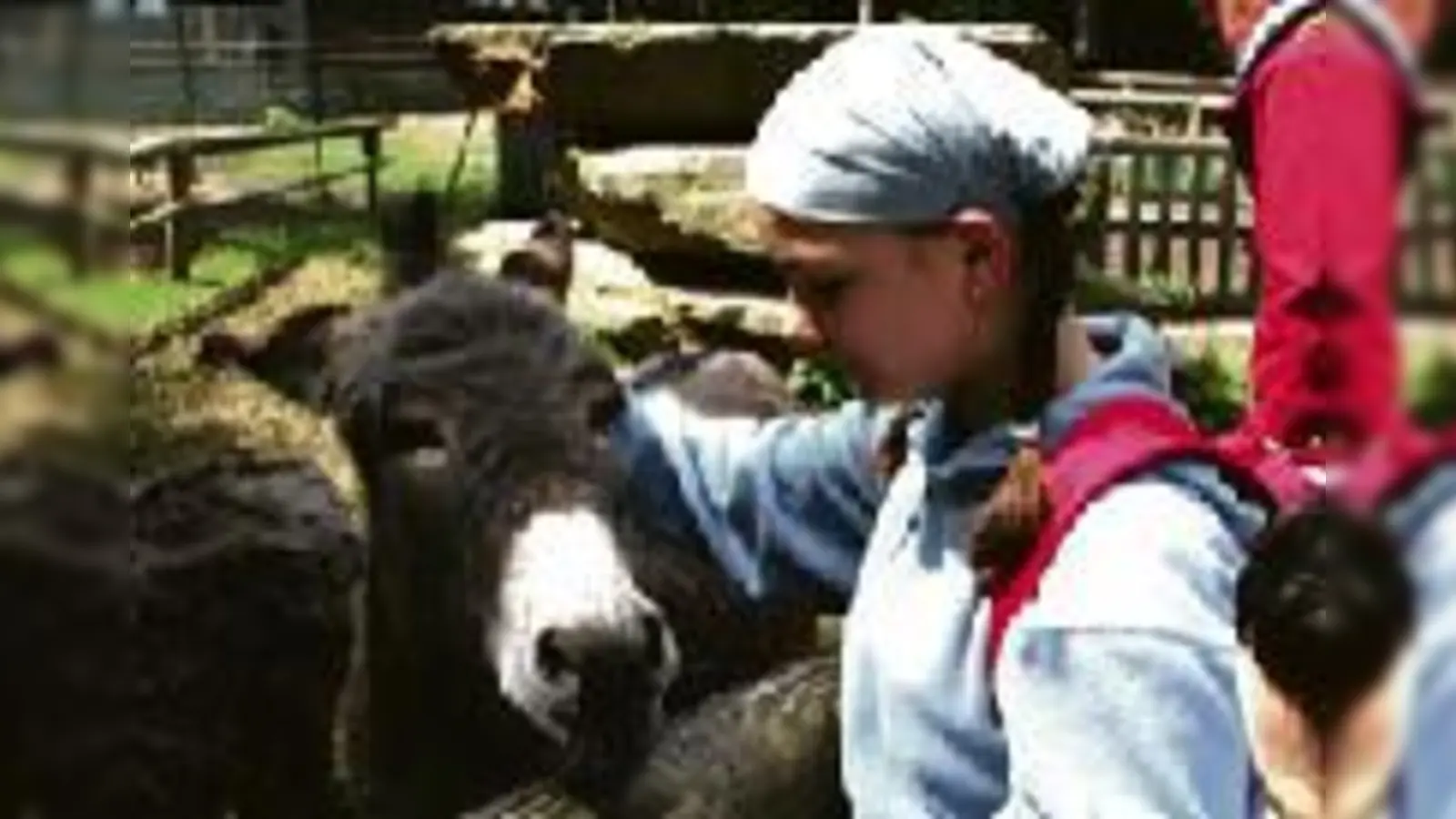 Ein Ausflug zum Streichelzoo gehörte für die Kinder der HPT Feldmoching / Unterschleißheim unbedingt zu ihrem Ferienlager dazu.	 (Foto: VA)