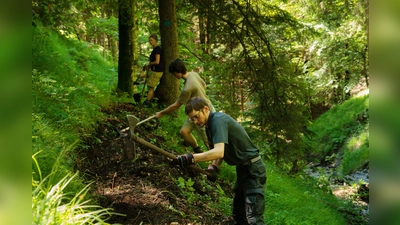 Jedes Jahr nehmen über 100 freiwillige Helfer an der Aktion Schutzwald teil. (Foto: DAV/Arvid Uhlig)