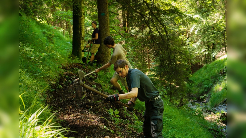 Jedes Jahr nehmen über 100 freiwillige Helfer an der Aktion Schutzwald teil. (Foto: DAV/Arvid Uhlig)