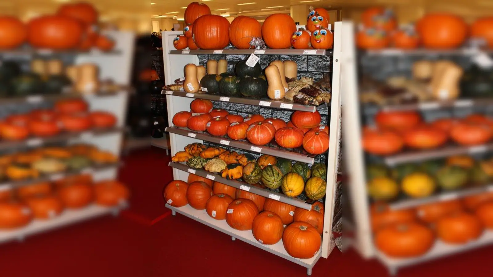 Ob Zauberer ihre Gegenspieler in Kürbnisse verwandeln? Magisch geht es auf jeden Fall am 17. November in der Kraillinger Gemeindebibliothek zu. (Foto: sb)