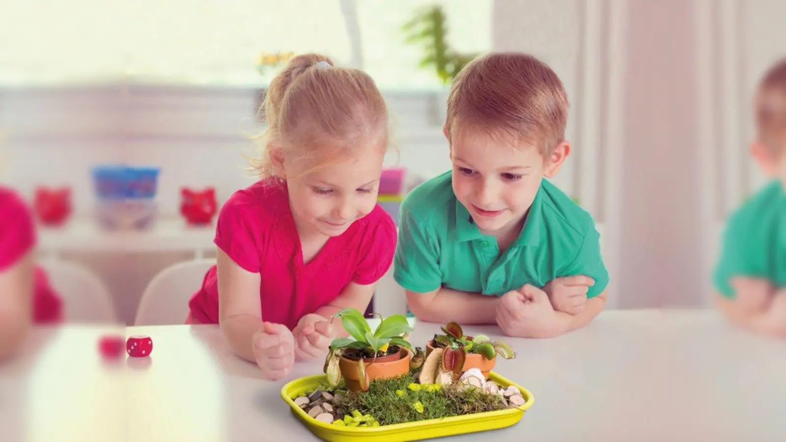Ein Minigewächshaus mit fleischfressenden Pflanzen  können Kinder am 3. August gestalten. (Foto: shutterstock)