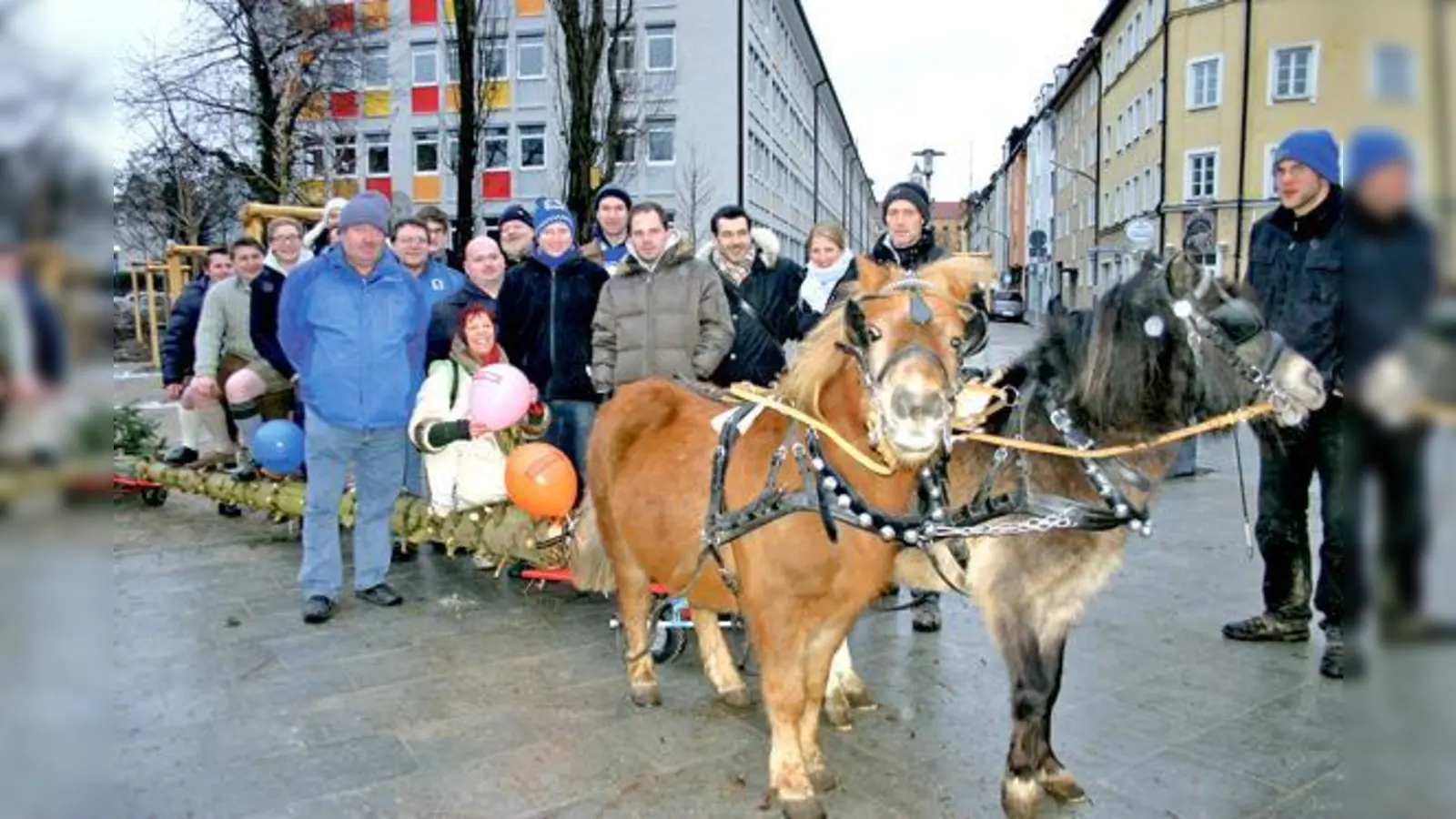Neben den Giesingern und Harlachingern Vereinen, unterstützten auch die Ponys »Billy Idol« (li.) und »Ringo Starr« den Stangerl-Transport. 	 (Foto: HH)