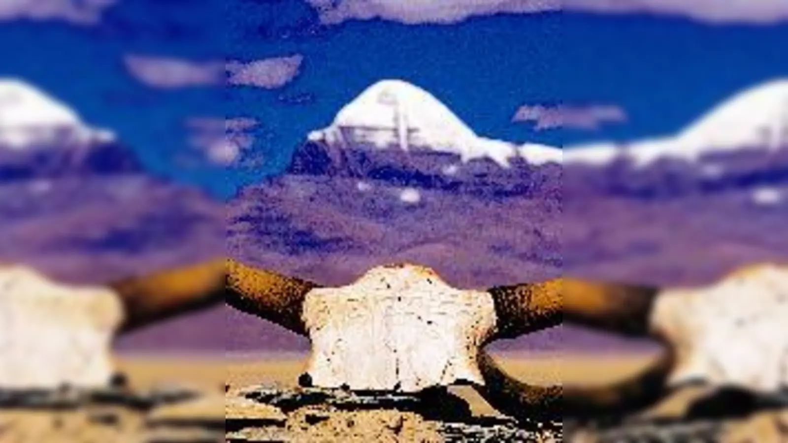 Yakschädel mit religiöser Inschrift.	 (Foto: VA)