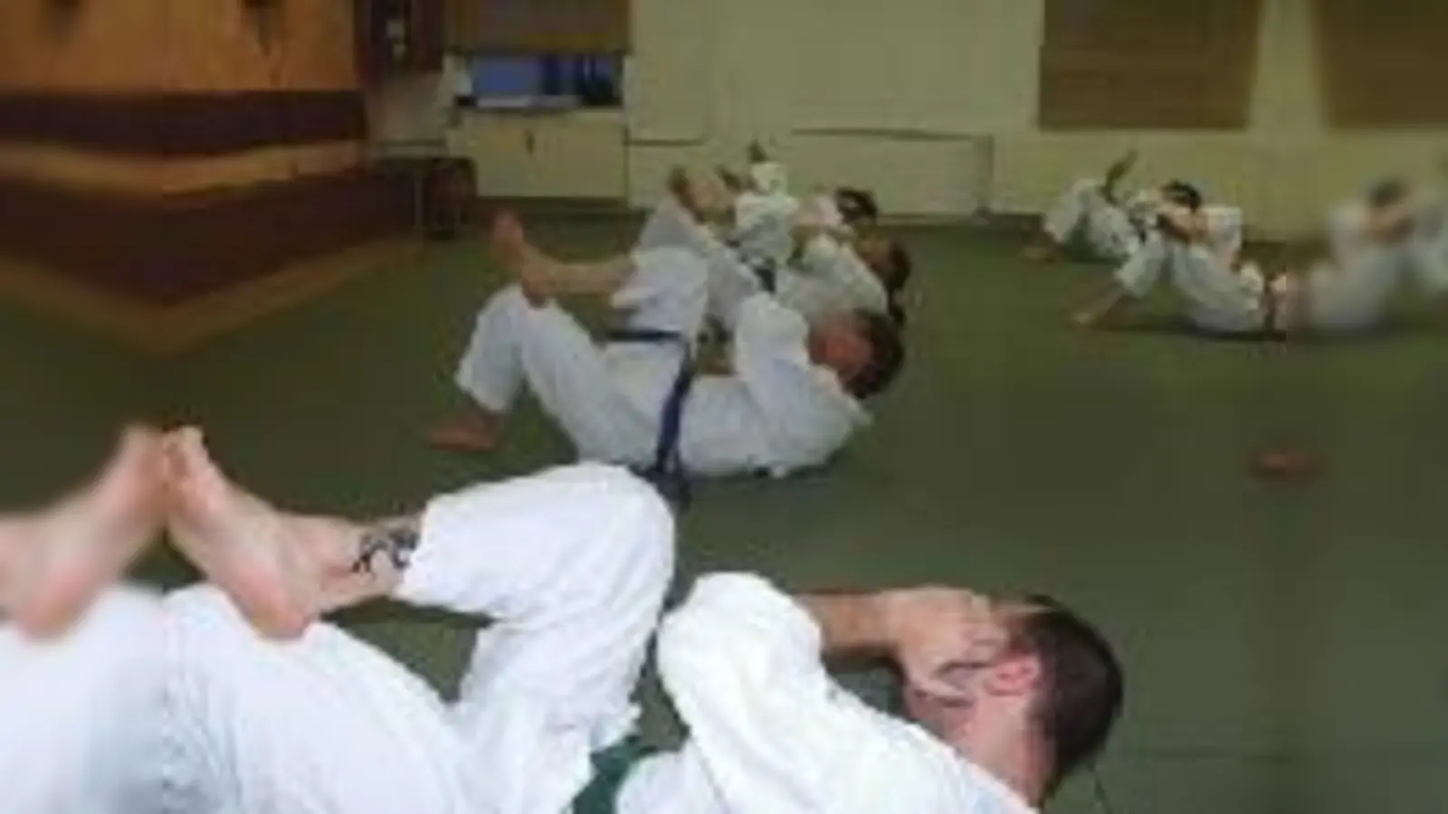 Jiu-Jitsu wird nur im Notfall zum Kampfsport  sonst bleibt man damit einfach  (fit.Foto: Verein)