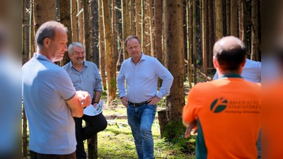  Landrat Robert Niedergesäß und Dr. Heinz Utschig (Forstbetriebsleiter der Bayerischen Staatsforsten) und Reinhard Menzel (Leiter des Amtes für Ernährung, Landwirtschaft und Forsten). (Foto: Hans-Rudolf Schulz)