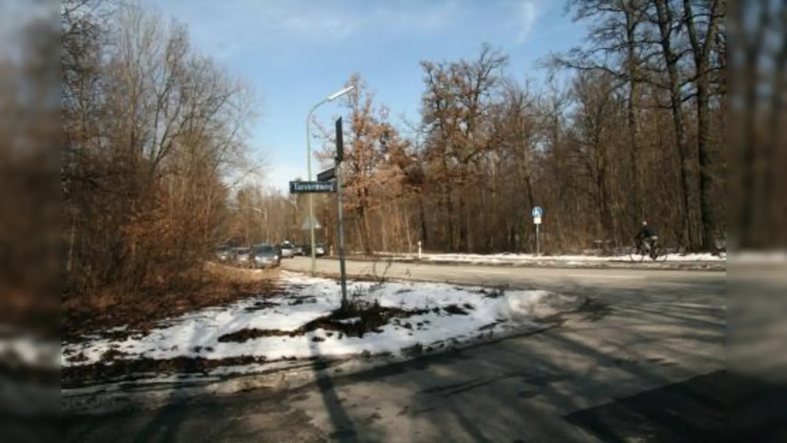 Das Tannenwäldchen am Kapuzinerhölzl nördlich des Nymphenburger Parks ist eine beliebte Spaziergegend. Sobald es wärmer wird, fühlen sich die Anwohner allerdings zunehmend von einer etablierten Homosexuellen-Szene bedroht. (Foto: US)