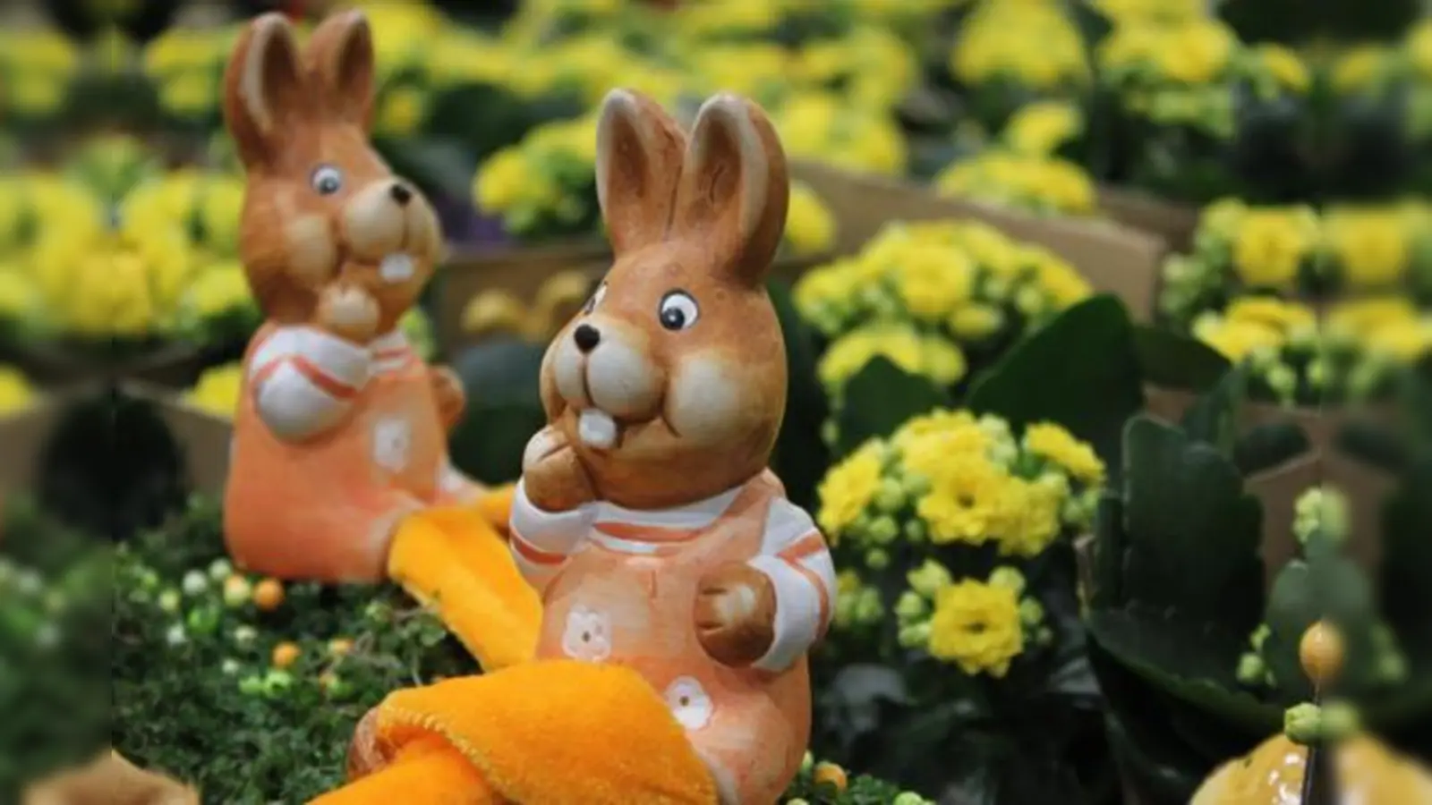 Der Osterhase hat das Wettrennen mit Fuchs, Kuckuck und Hahn gewonnen. In guter Tradition darf er nun die Ostereier bringen.	 (Foto: cr)