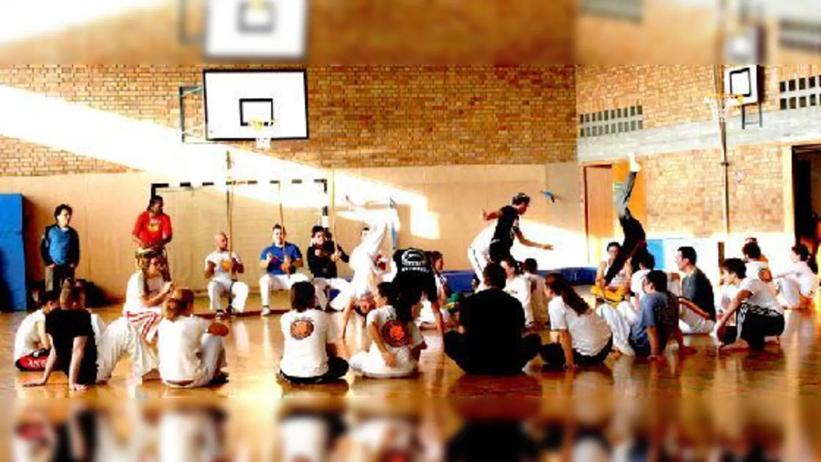 Die Sportfreunde Harteck setzen sich ein für die Verbreitung des Sports Capoeira.	 (Foto: VA)