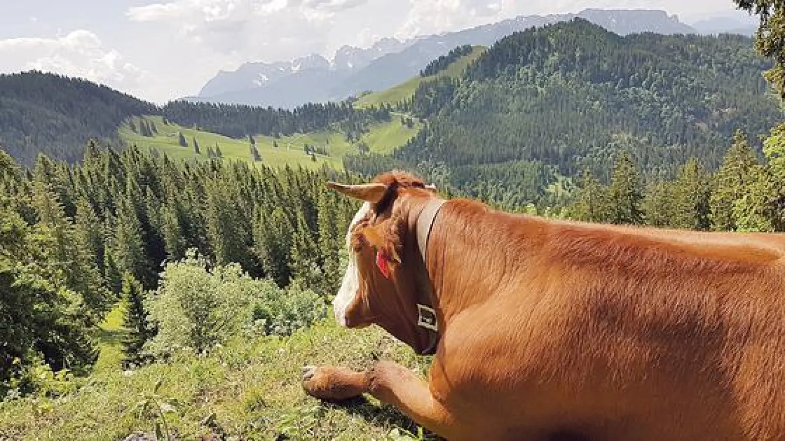 Was bedeutet Heimat in Bayern? Dieser Frage soll in einem VHS-Schreibkurs nachgegangen werden. 	 (Foto: Stefan Dohl)
