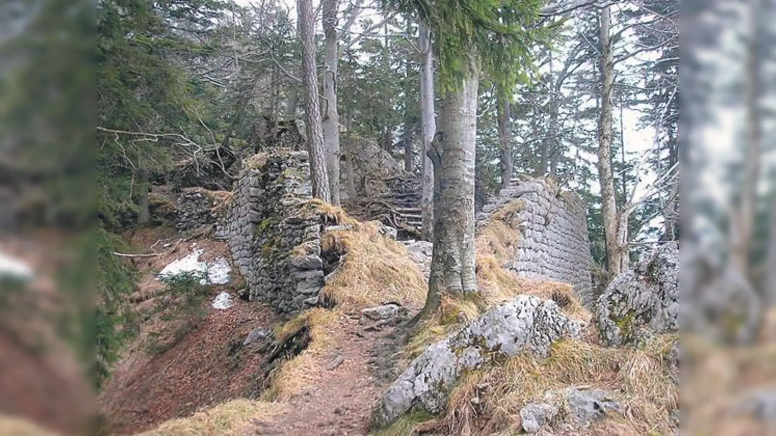 Eine Wanderung zur Ruine Hohenwaldeck heißt 240 Höhenmeter überwinden. (Foto: SVN)