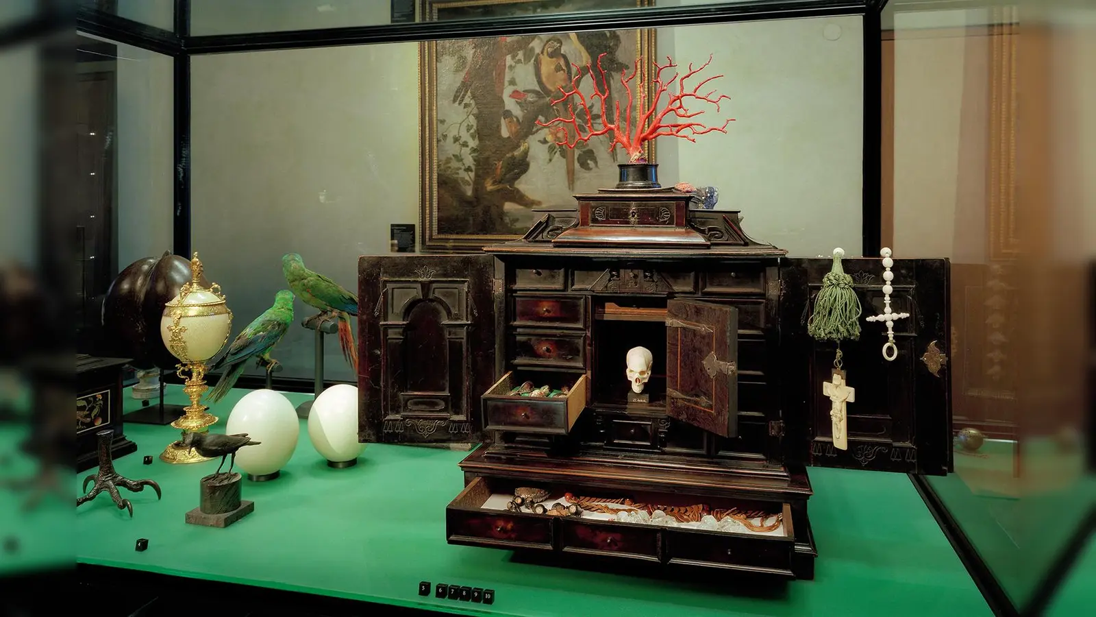 Blick in den Saal mit den „Naturalia“ in der Kunst- und Wunderkammer.  (Foto: © Bayerisches Nationalmuseum München)