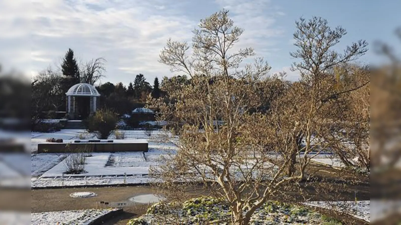 Wie erkennt man die Magnolie im Winter  anhand von Rinde, Wuchsform und Farbe der Knospen.	 (Foto: VA)