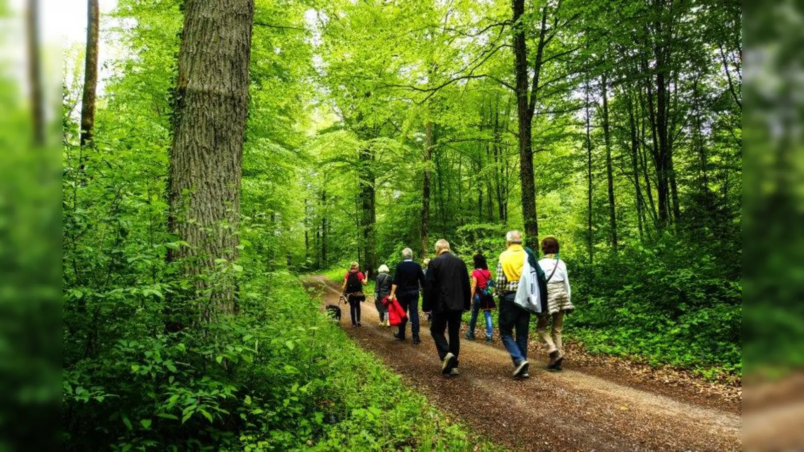 Am Vatertag unternehmen viele Männer traditionell einen Ausflug in die Natur. Ebenso ist es Brauch, dass sich Junggesellen und Männer ohne Kinder um die Verpflegung kümmern müssen. (Foto: Rainer Sturm/pixelio)