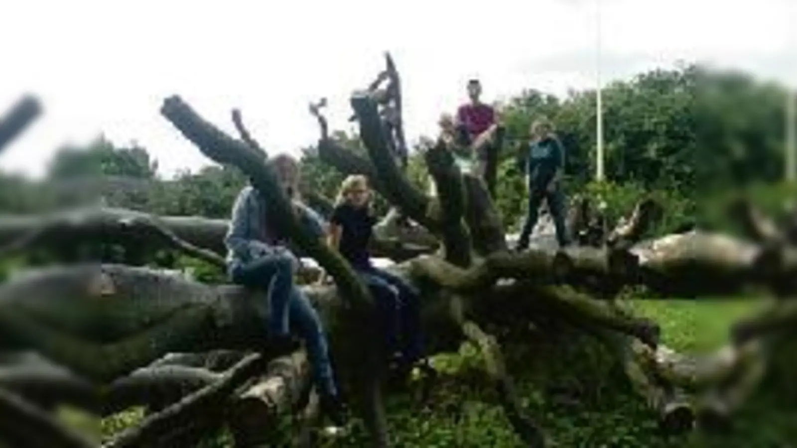 Natur pur: Die Dreckspatzen suchen für ihre Umweltgruppe Verstärkung. 	 (Foto: Bund Naturschutz)