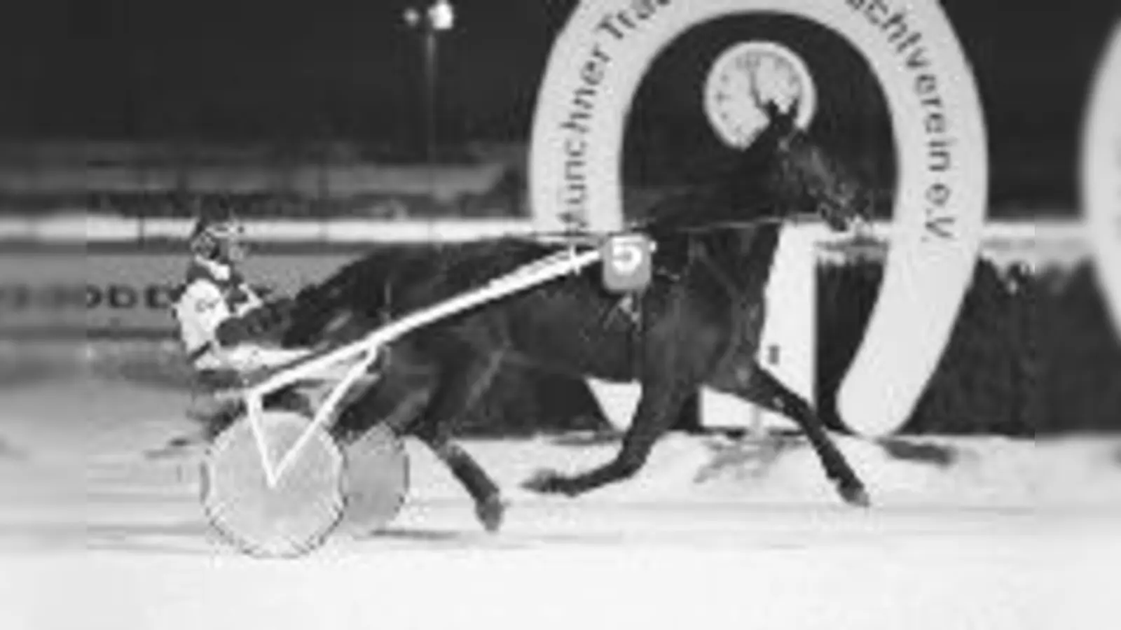 Michelano mit Jockey Karl Martin sicherte sich den Sieg in der Endphase des Rennens.  (Foto: Hans Springer)