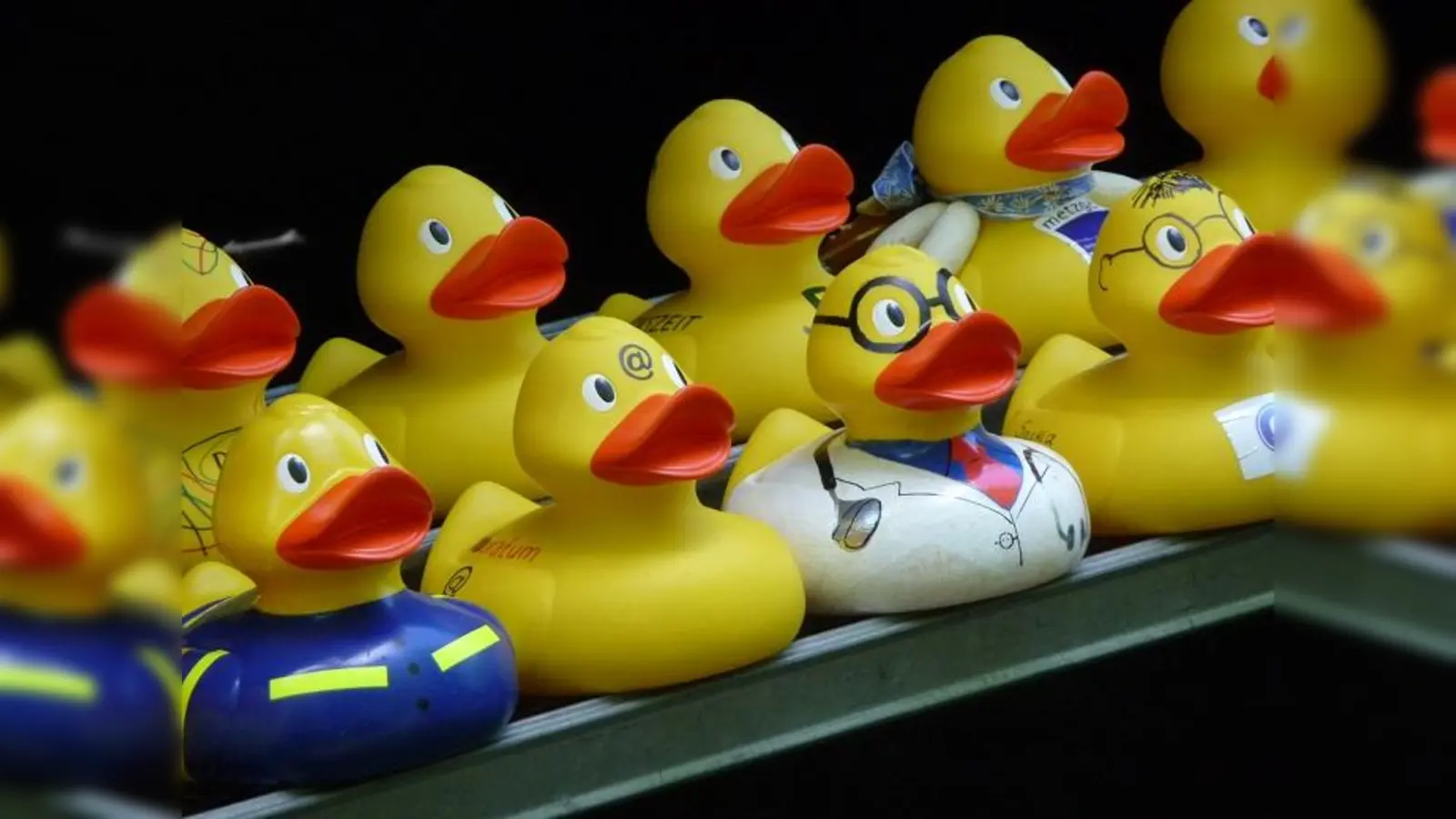 Der Lions Club München-Blutenburg hat für sein Entenrennen in der Würm wieder etliche gelbe Flitzer im Angebot, die nun auf ihre neuen Besitzer warten. (Foto: Lions Club München-Blutenburg)