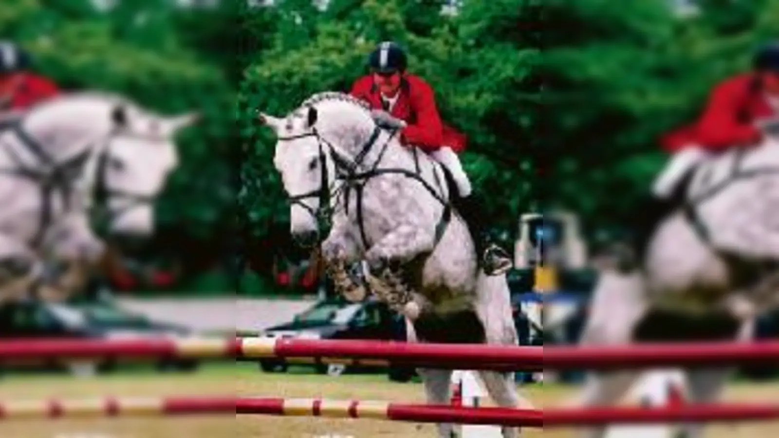Hochklassiger Reitsport erwartet die Besucher der Pferd International vom 1. bis 4.  (Mai.Foto: VA)