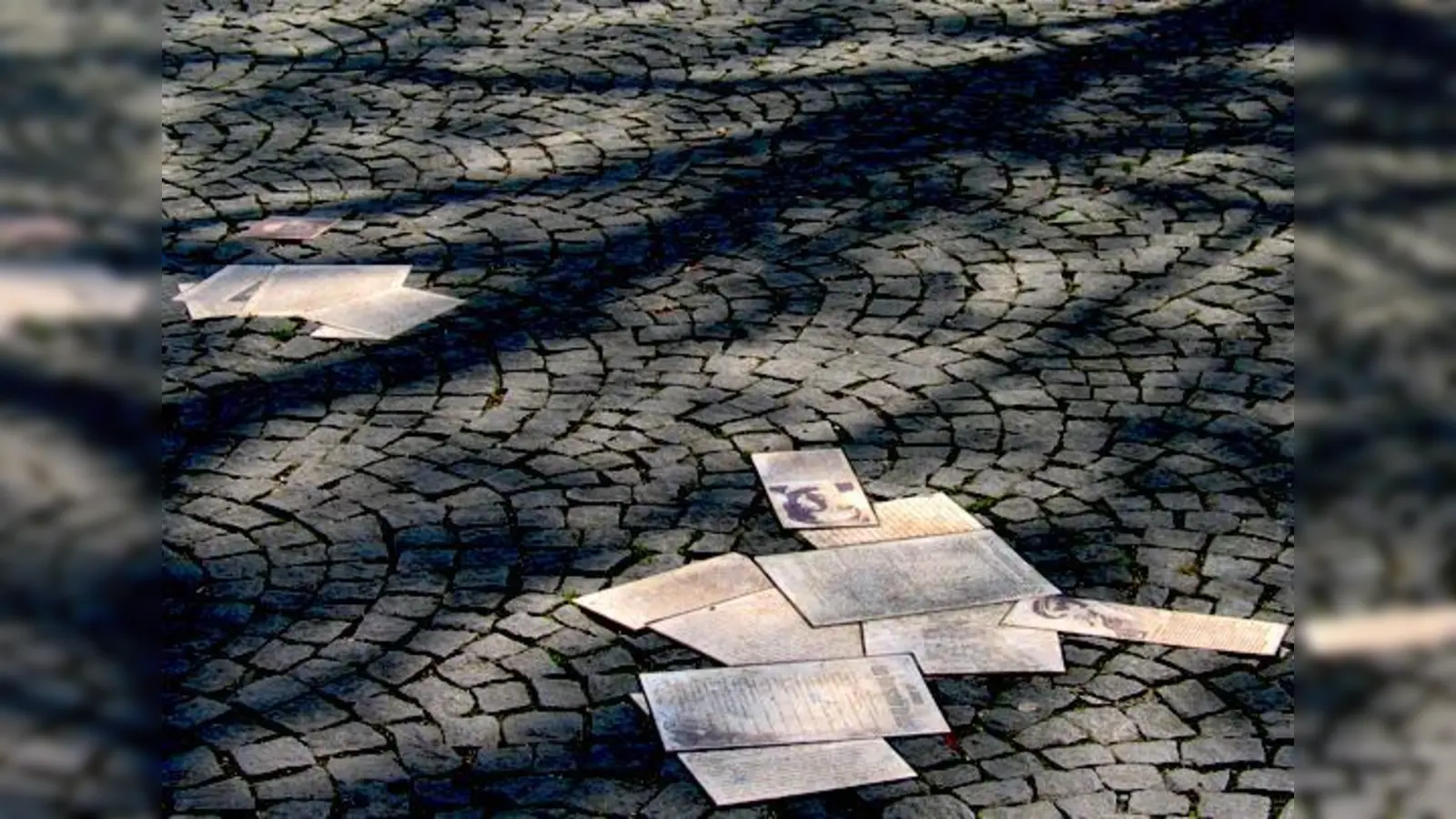 Flugblätter an der Uni erinnern an den Widerstand der Weißen Rose.  (Foto: VA)