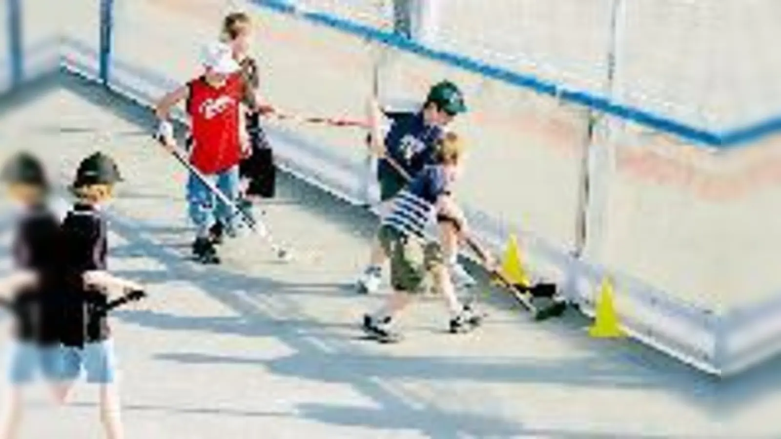 Sommertraining ist wichtig, aber es ersetzt nicht die fehlenden  (Eiszeiten.Foto: priv.)