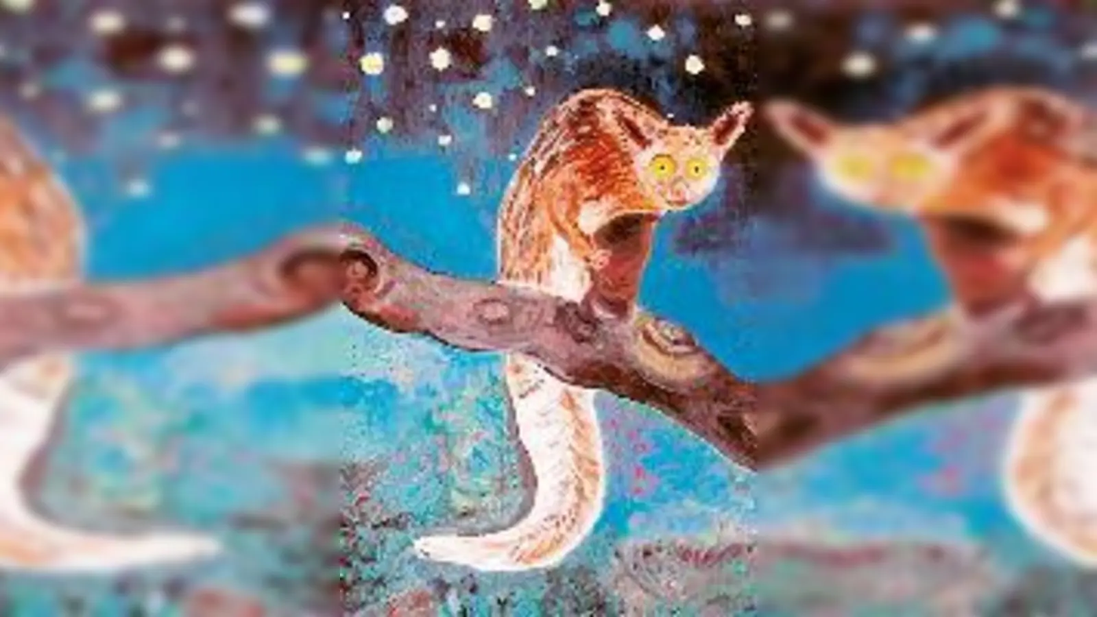 Eines der Exponate, die die Gattin des Film-Regisseurs Werner Herzog ausstellt.  (Foto: Privat)