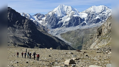Die Dachauer Wandergruppe beim Aufstieg zur Vertainspitze mit der Königspitze und dem Monte Zebru im Hintergrund. (Foto: DAV)
