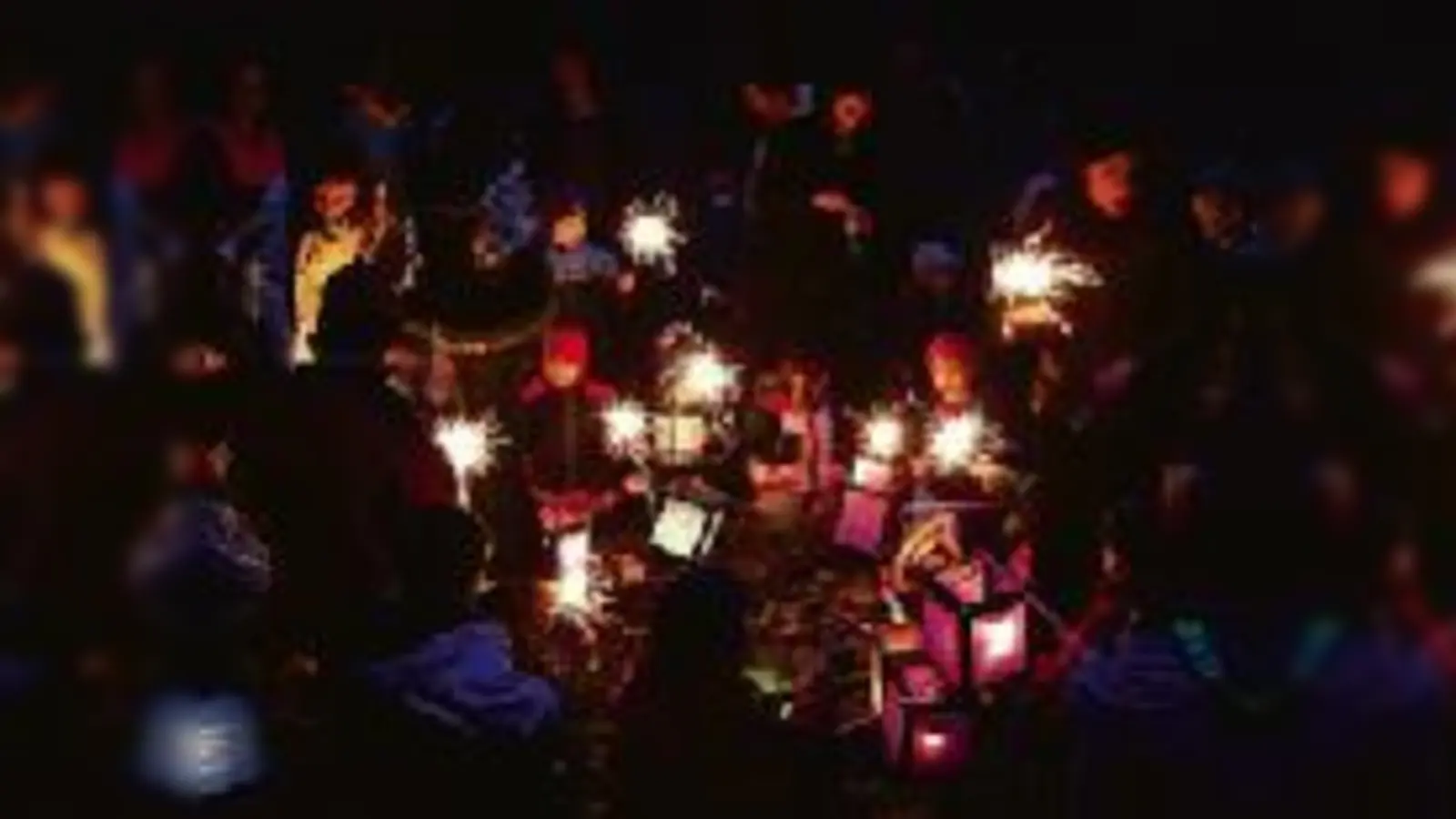Die Kindergartenkinder des Naturkindergartens »Waldwichtl e. V.« mit Sternwerfern und Laternen.  (Foto: VA)