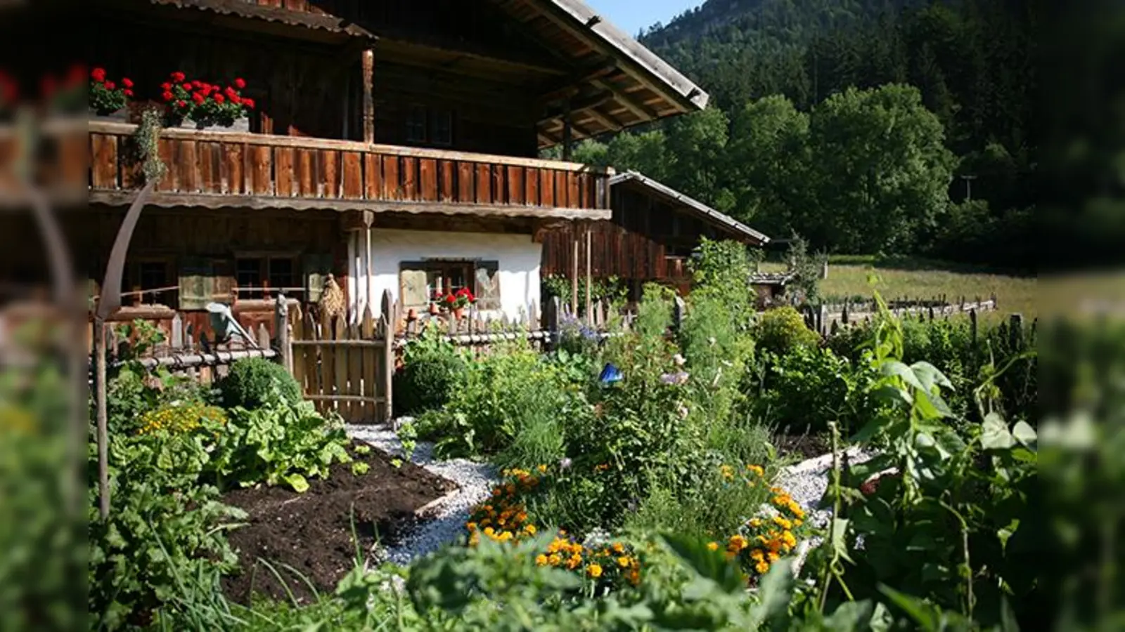 Zu Pfingsten wird es farbenfroh. (Foto: Markus Wasmeier)
