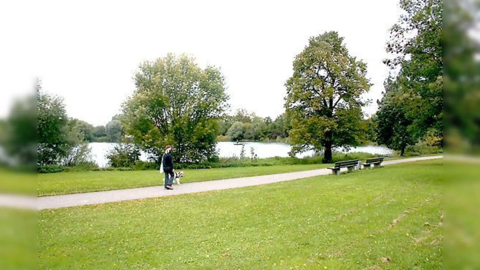 Ursache der erhöhten Werte am Nordufer des Fasanerie-Sees sind vermutlich Einträge von Wasservögeln, die hier vermehrt vorkommen. 	 (Foto: ws)