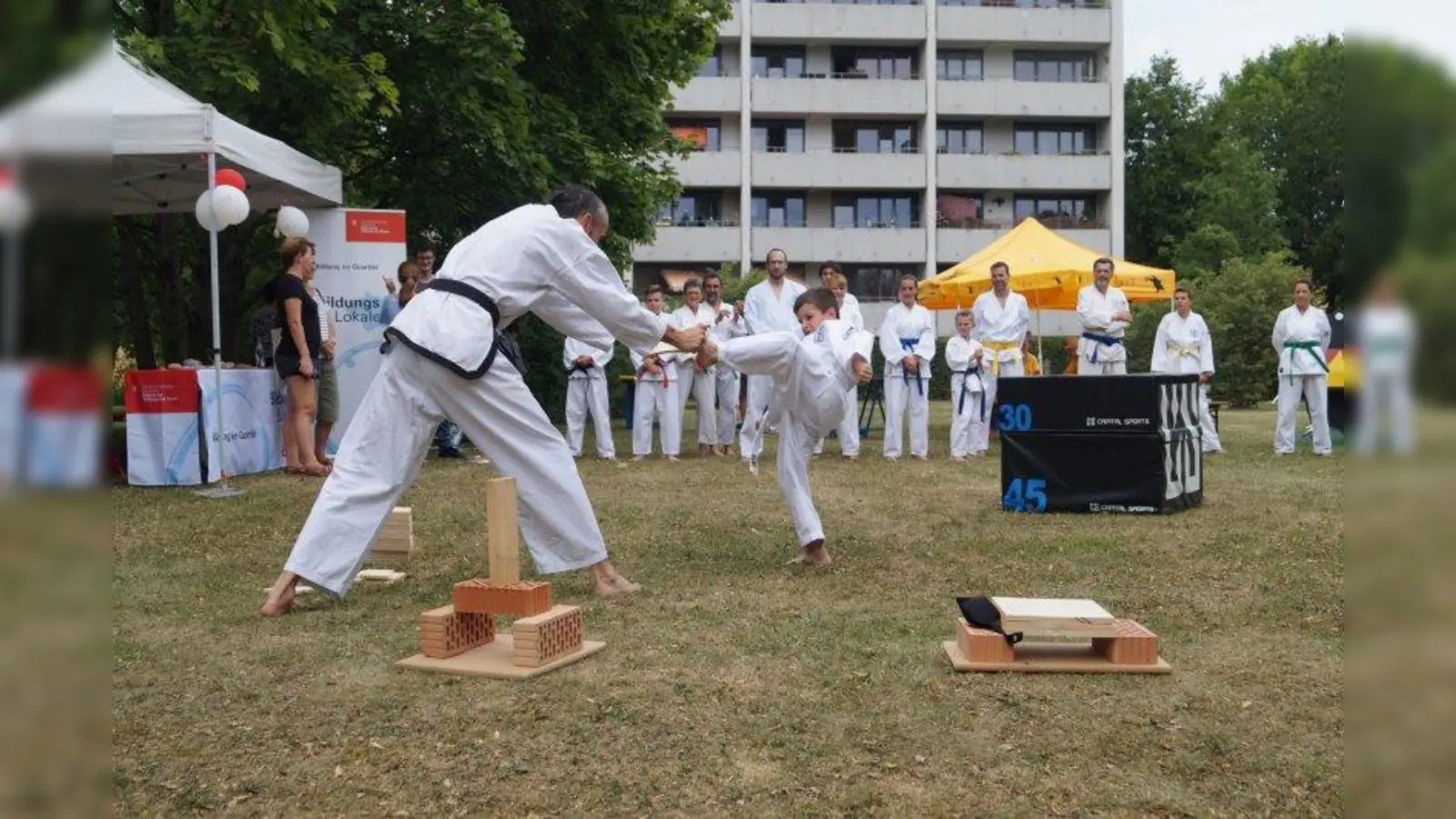 Mit einem gekonnten Fußtritt zerschlug dieser Junge vom Taekwondo Dojang in Freiham ein Brett. (Foto: pst)