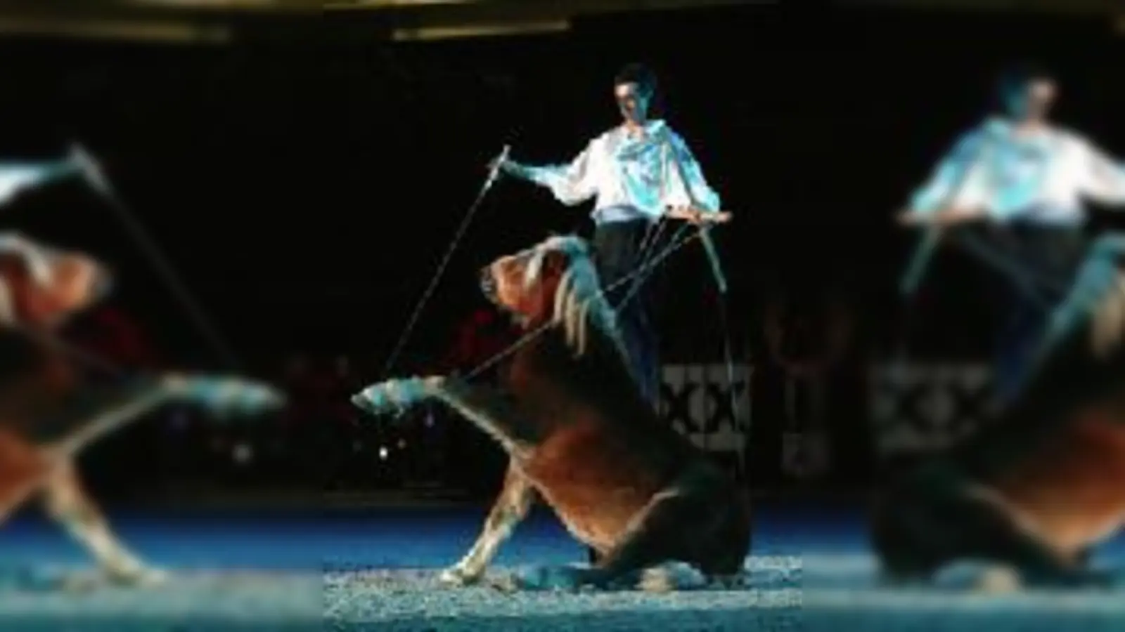 Der Freitag, 2. Dezember, ist Showtag bei den Munich Indoors: Jean-François Pignon spricht mit den Pferden  und die Pferde »sprechen« mit ihm. Heraus kommt eine sensationelle Show.  (Foto: Karl-Heinz Frieler)