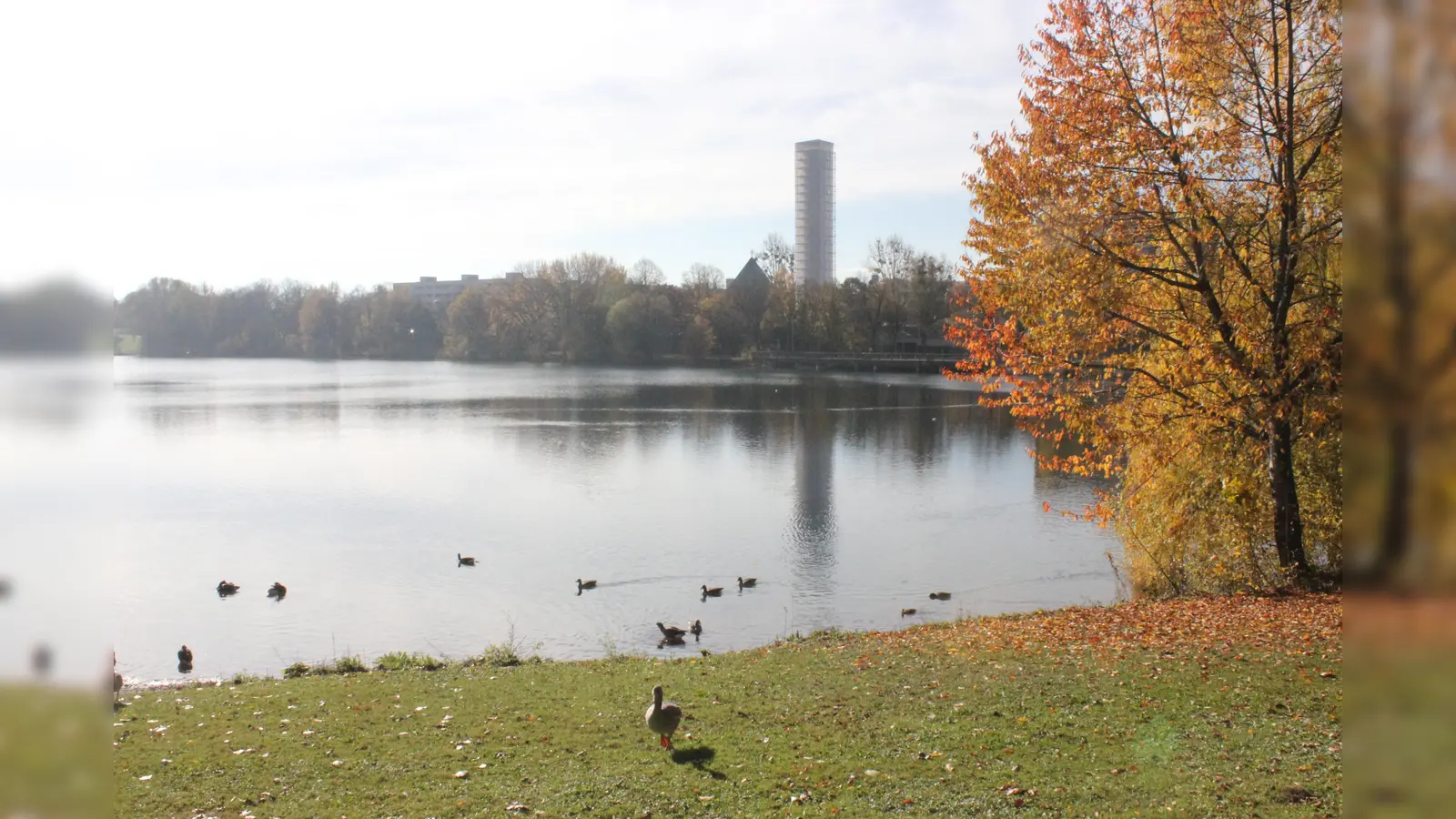 Die Lerchenau bietet viele Möglichkeiten, um in Einklang zu kommen. (Foto: Daniel Mielcarek)