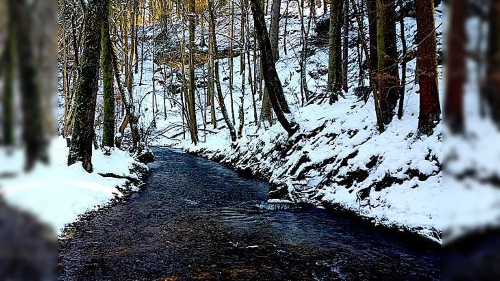 Im gesamten Freistaat gibt es rund 500 Wildbach-einzugsgebiete	 (Foto: sd)
