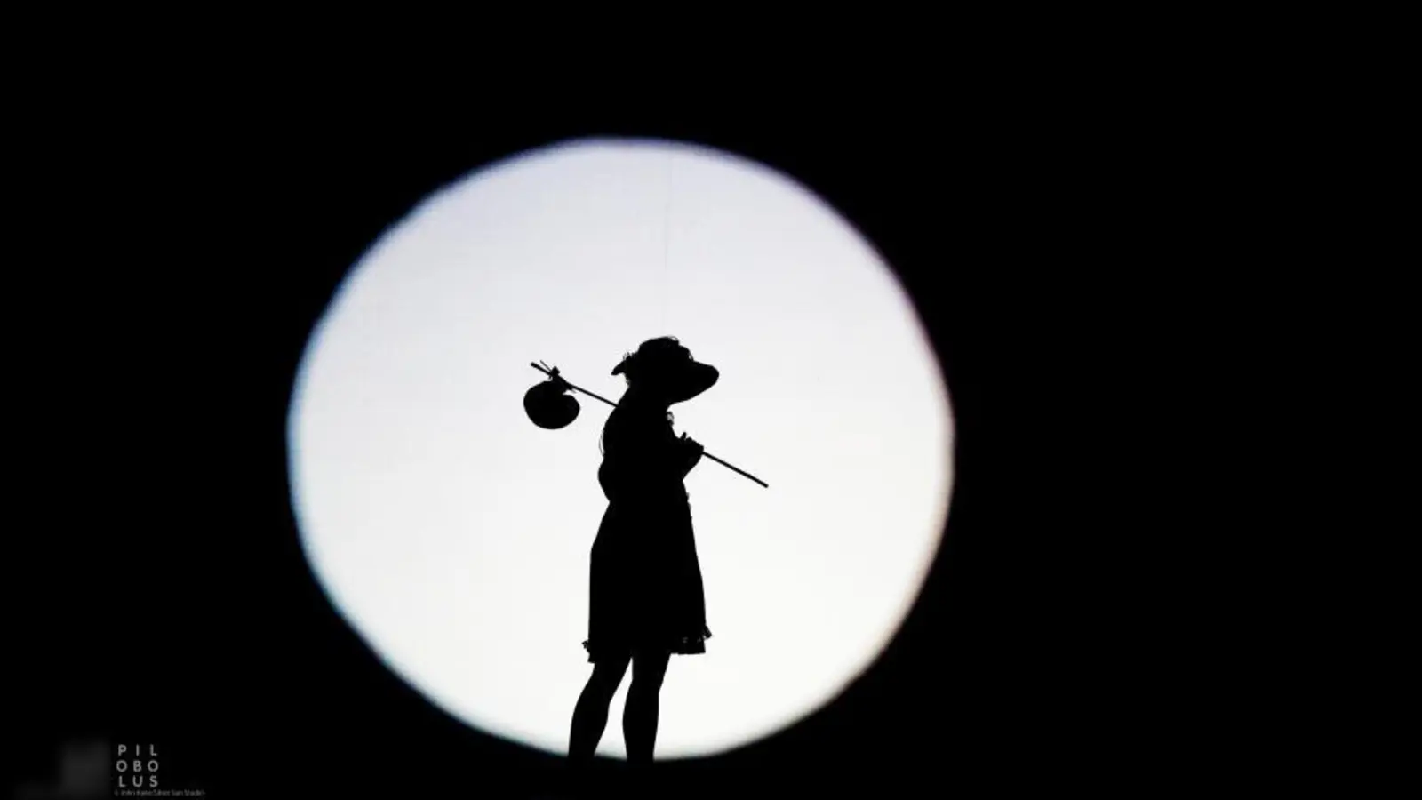 Die Tanzkompanie Pilobolus präsentiert eine fantastische wie faszinierende Inszenierung aus Licht und Schatten. (Foto: pi)