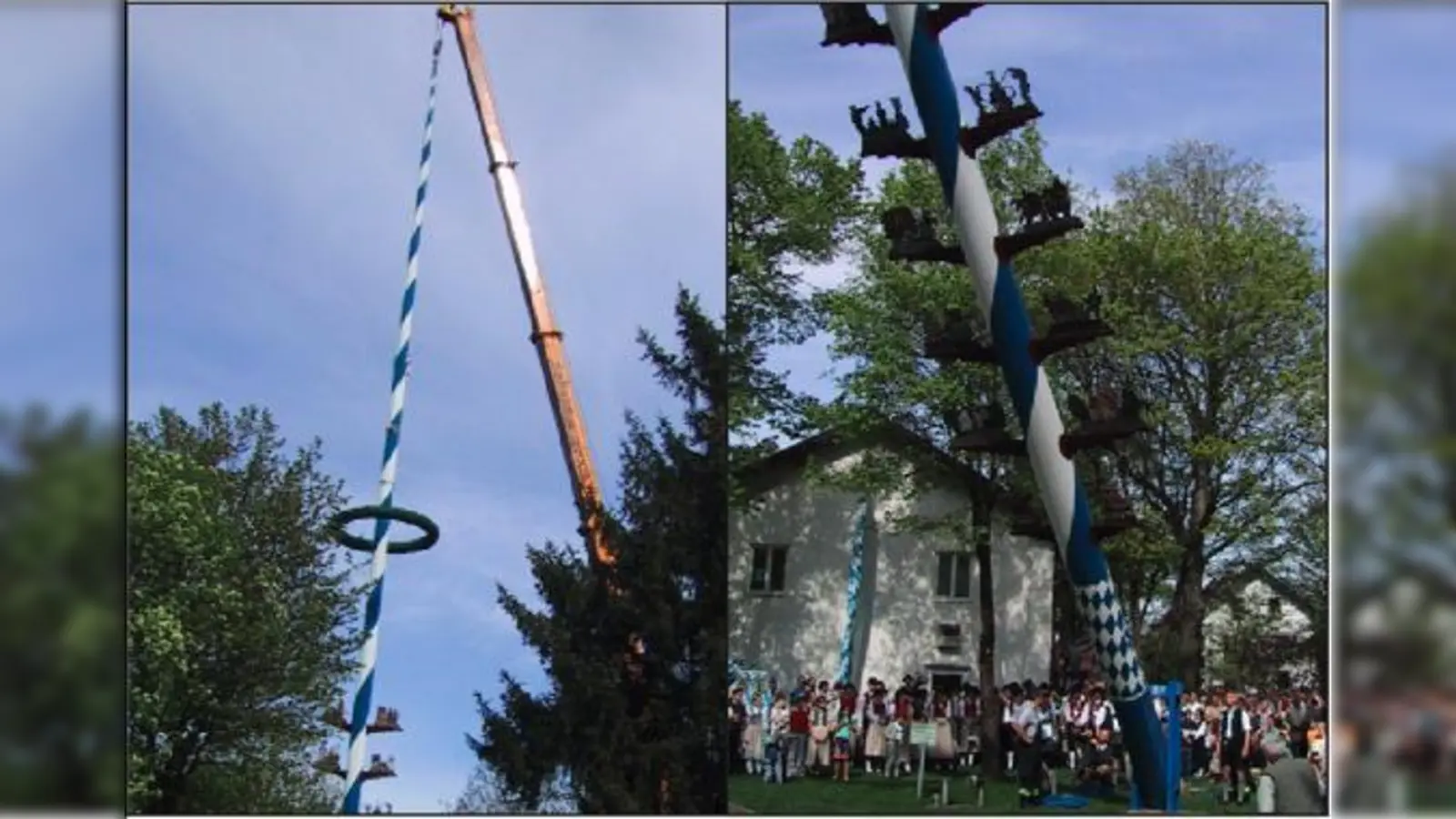 In Dornach wird der Maibaum aus Sicherheitsgründen mit dem Kran aufgestellt. So kann jeder das Spektakel aus nächster Nähe verfolgen.	 (Foto: Privat)