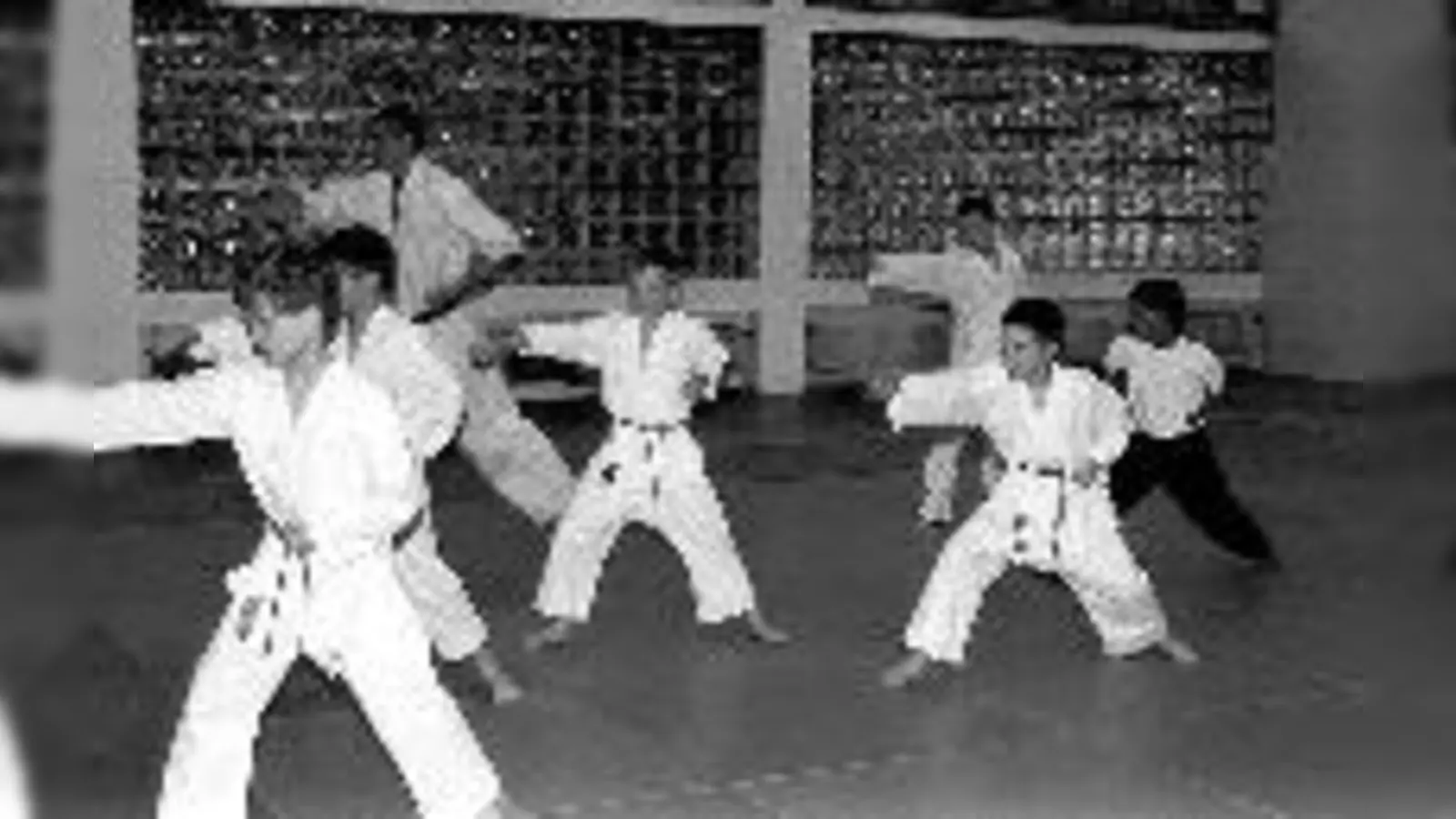 Mit vollem Eifer dabei. Kinder, hochkonzentriert beim Karatetraining. 	 (Foto: Verein)
