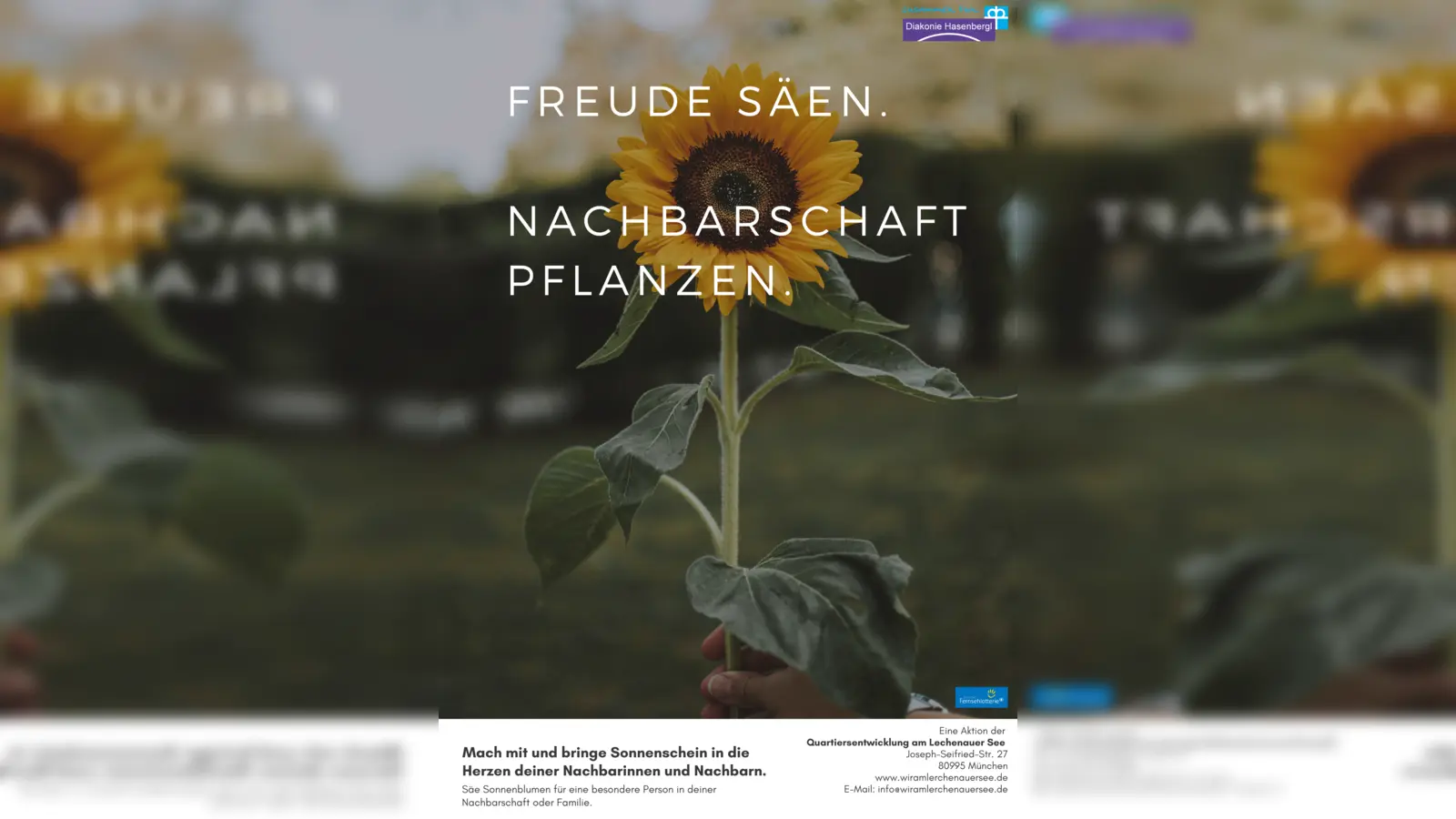 Die Quartiersentwicklung der Siedlung am Lerchenauer See freut sich auf viele tolle Sonnenblumenfotos: „Mach mit und zaubere deinen Nachbarn ein Lächeln ins Gesicht.“ (Foto: dh)