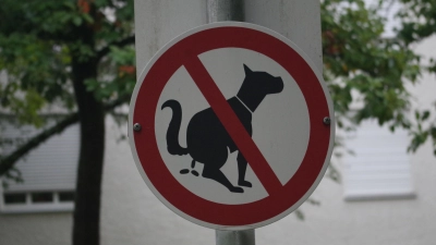 Die meisten Grünflächen in München schließen Hunde aus.  (Foto: Beatrix Köber)