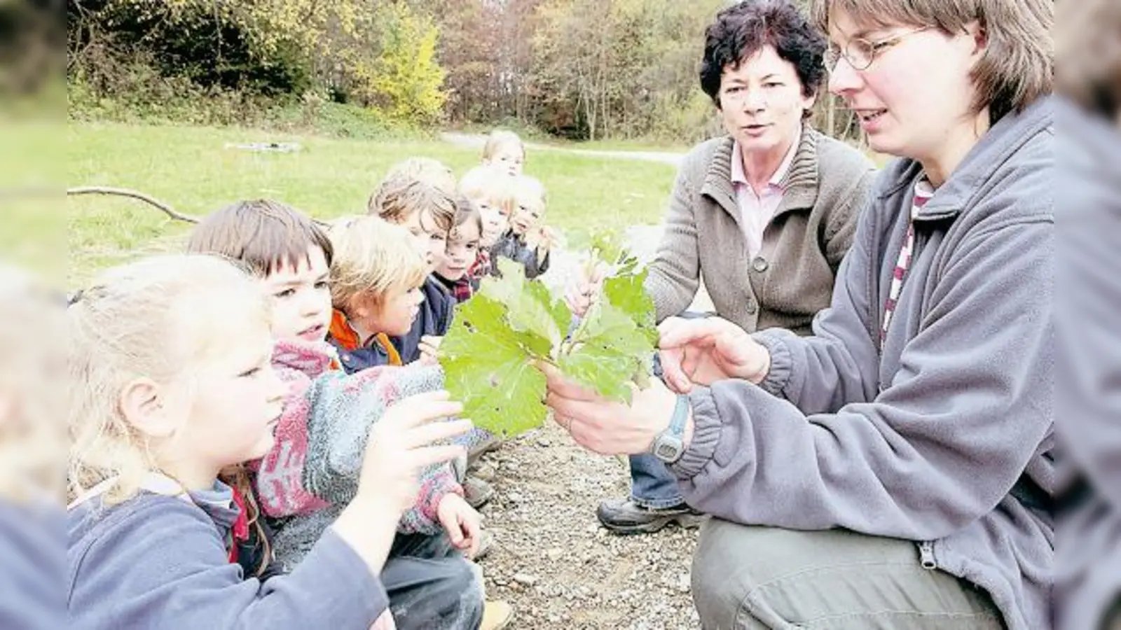 In der Gemeinde Straßlach gibt es ihn schon längst, in Sauerlach soll ein Waldkindergarten jetzt etabliert werden.   (Foto: Schunk)