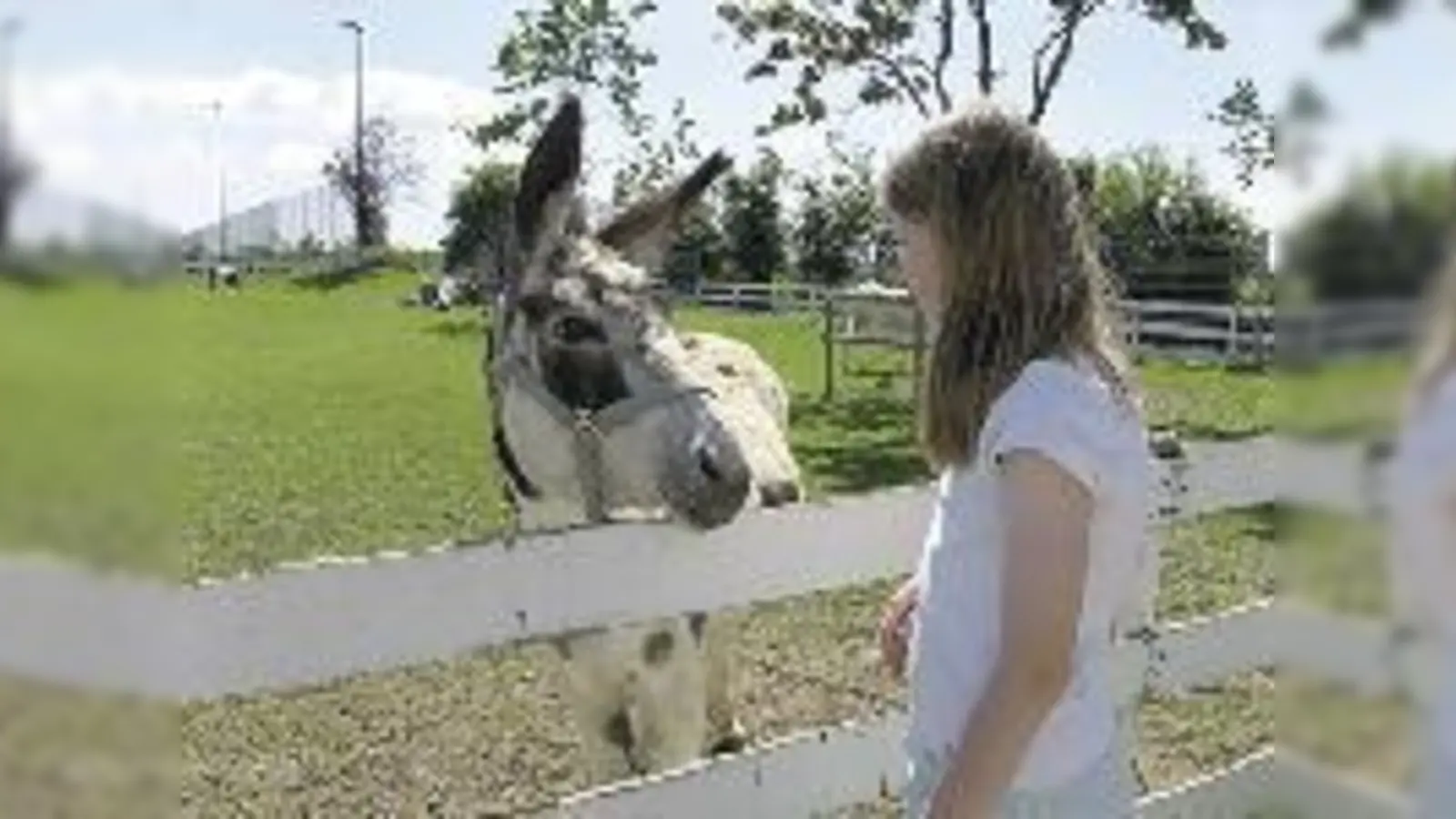 Träumt von »Miss Moneypenny« in Gestalt eines Esels: Die 10-jährige Julia möchte in München einen Esel halten.   (Foto: aha)