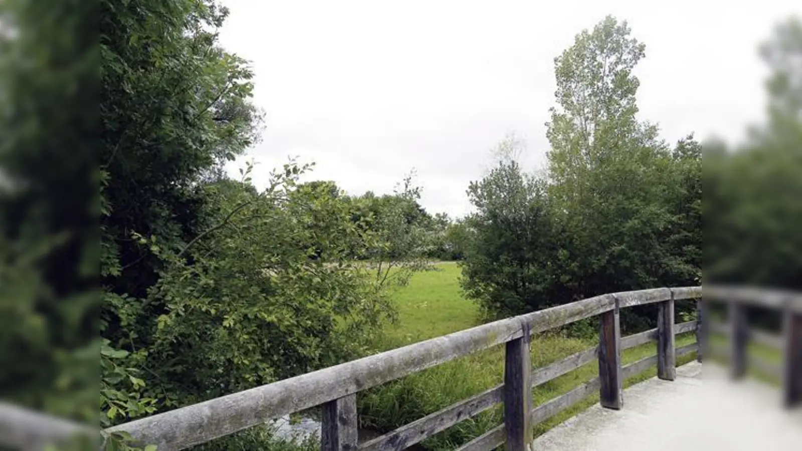 An der Hachinger Haid soll eine Unterkunft für 75 Asylsuchende entstehen. 	 (Foto: Kohnke)