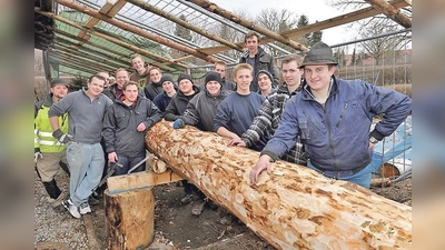 Jetzt gilt es, den Maibaum zu bewachen, bis er am 30. April per Hand von den Hofoldinger Burschen aufgestellt wird.  (Foto: Schunk)