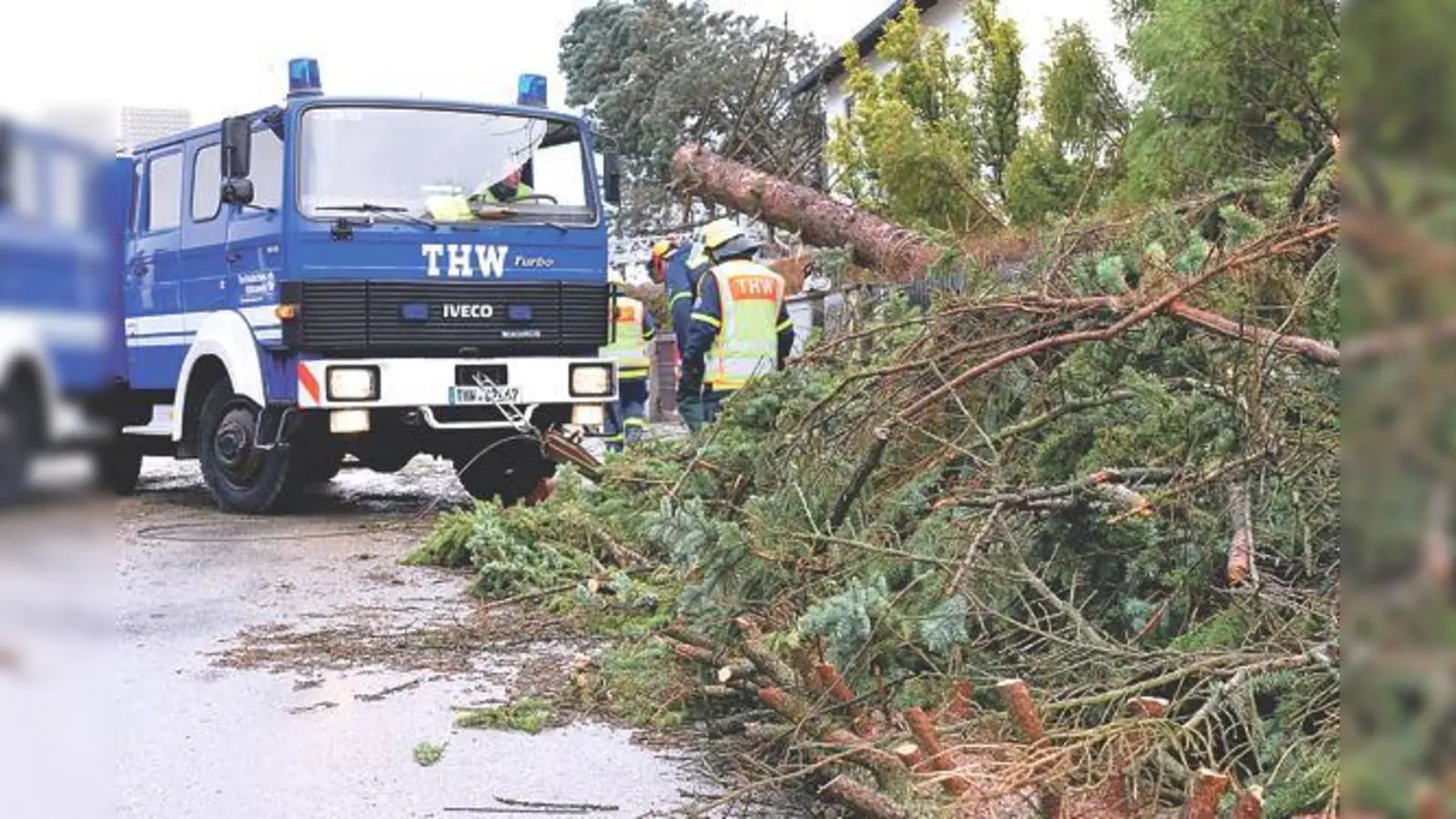 Ehrenamtliche Helfer vom THW München-Ost beseitigten umgestürzte Bäume.	 (Foto: THW München-Ost)