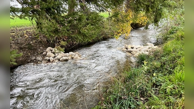 Kleine Veränderung – große Wirkung: durch sogenannte Buhnen wird Fließrichtung und Geschwindigkeit des Wassers ein wenig verändert. So entstehen Lebensräume für Fische, Insektenlarven und andere Organismen. Sie bieten Schutz, Nahrung und geeignete Laichplätze.  (Foto: Gemeinde Alling)