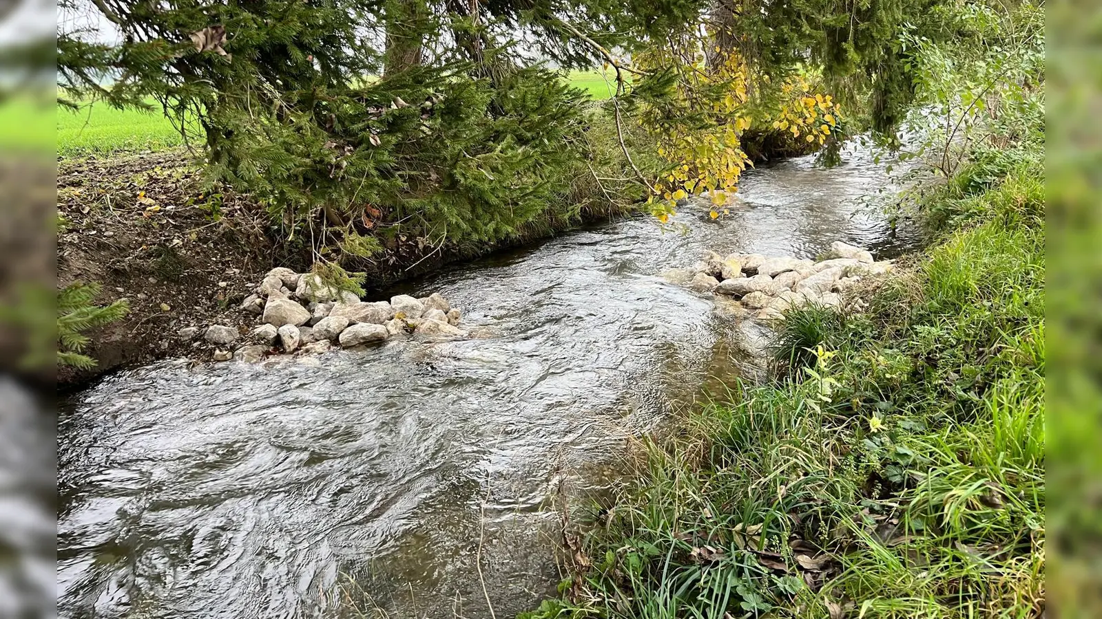Kleine Veränderung – große Wirkung: durch sogenannte Buhnen wird Fließrichtung und Geschwindigkeit des Wassers ein wenig verändert. So entstehen Lebensräume für Fische, Insektenlarven und andere Organismen. Sie bieten Schutz, Nahrung und geeignete Laichplätze.  (Foto: Gemeinde Alling)