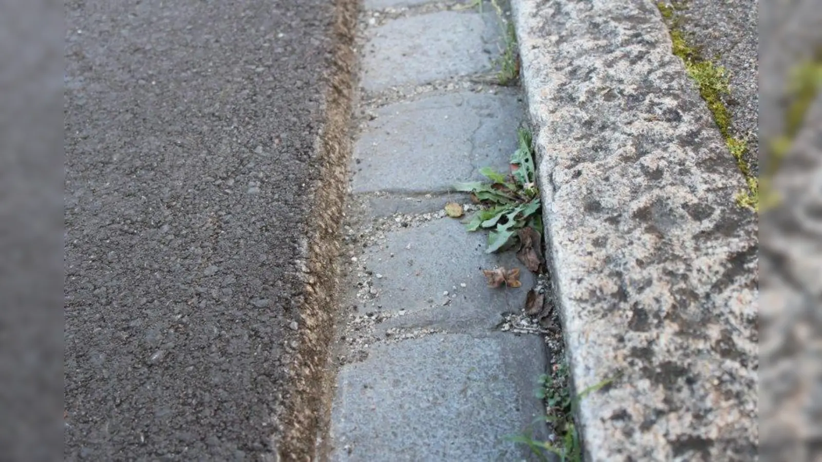 Auch niedrige Gehsteigkanten könnten für Rollstuhlfahrer ein unüberwindliches Hindernis darstellen. (Foto: sb)