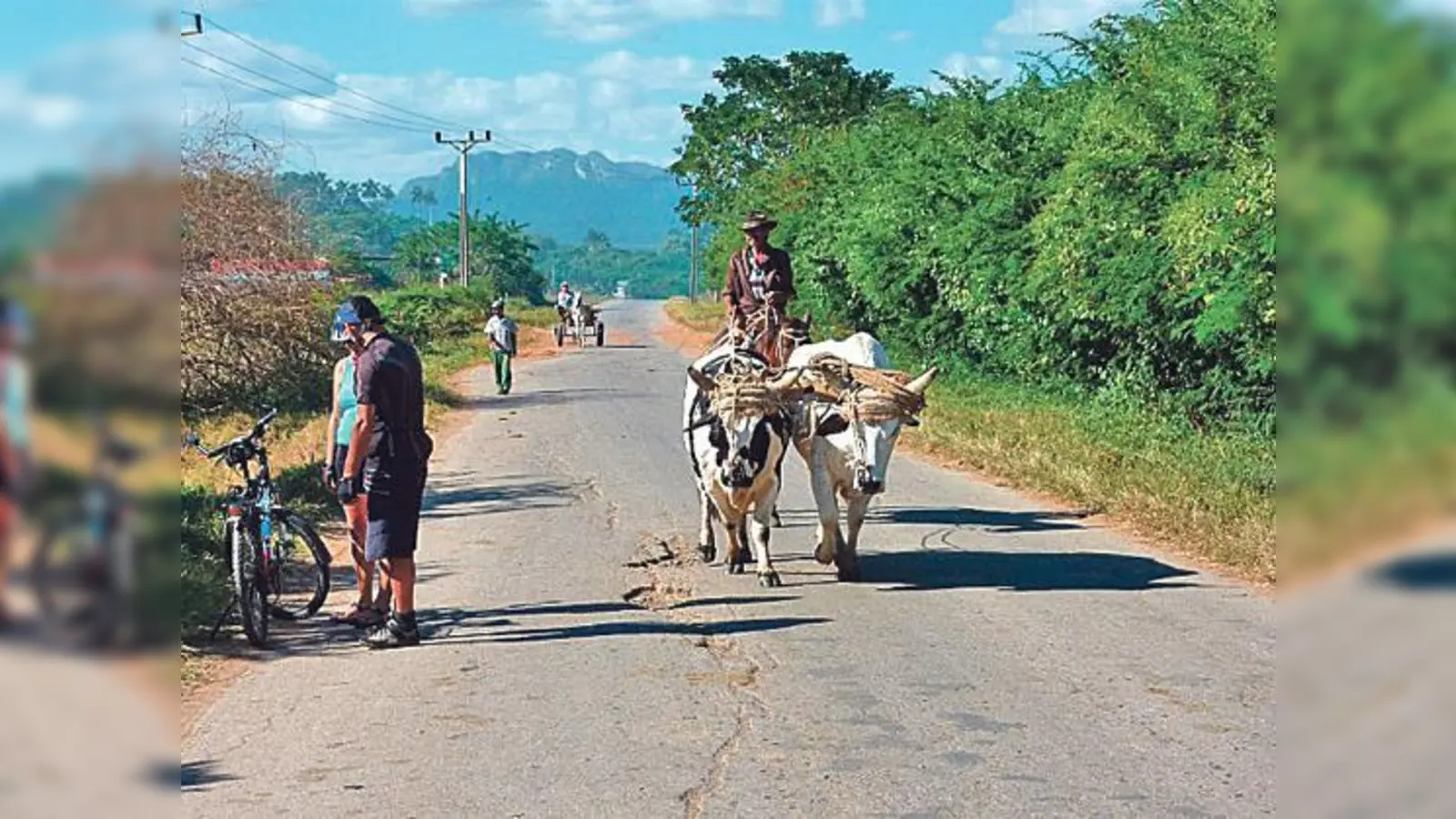 Fotomotive fanden sich genug auf der 900 Kilometer langen Tour mit dem Rad.	 (Foto: VA)